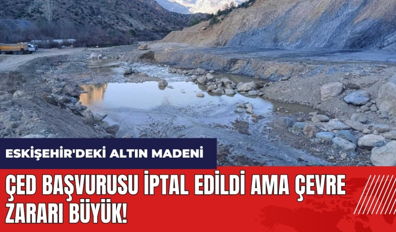 Eskişehir'deki altın madeni ÇED başvurusu iptal edildi ama çevre zararı büyük!