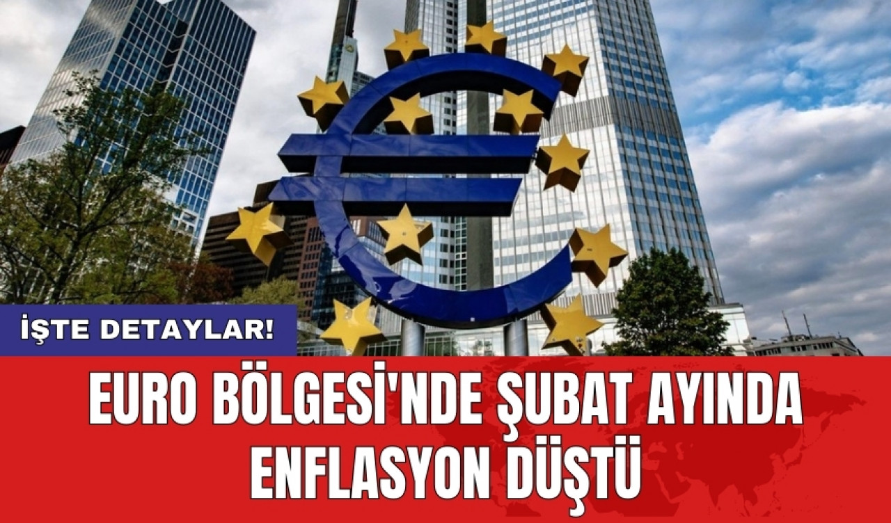 Euro Bölgesi'nde şubat ayında enflasyon düştü