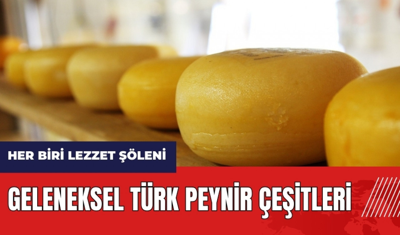 Geleneksel Türk peynir çeşitleri hangileri?