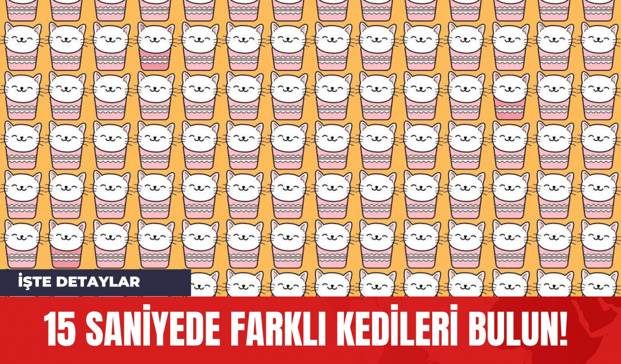 15 Saniyede Farklı Kedileri Bulun!