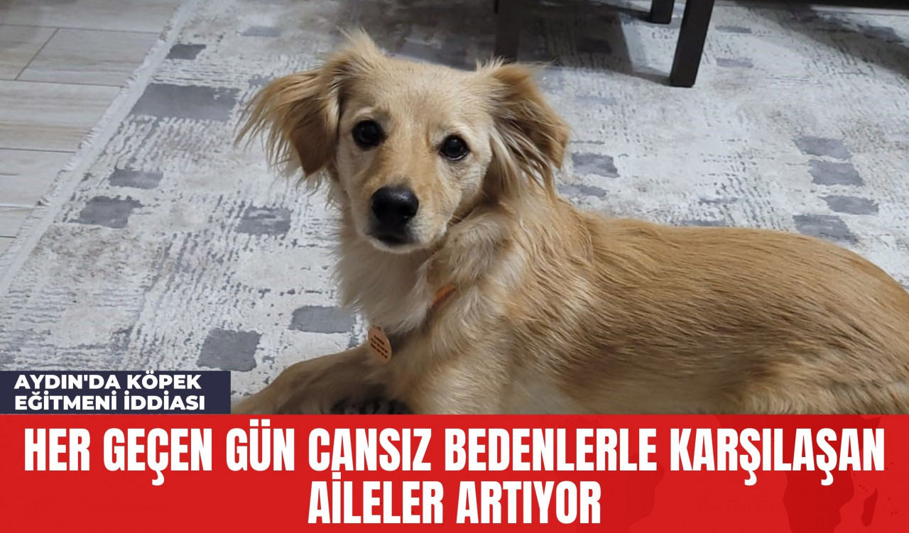 Aydın'da Köpek Eğitmeni İddiası: Her Geçen Gün Cansız Bedenlerle Karşılaşan Aileler Artıyor