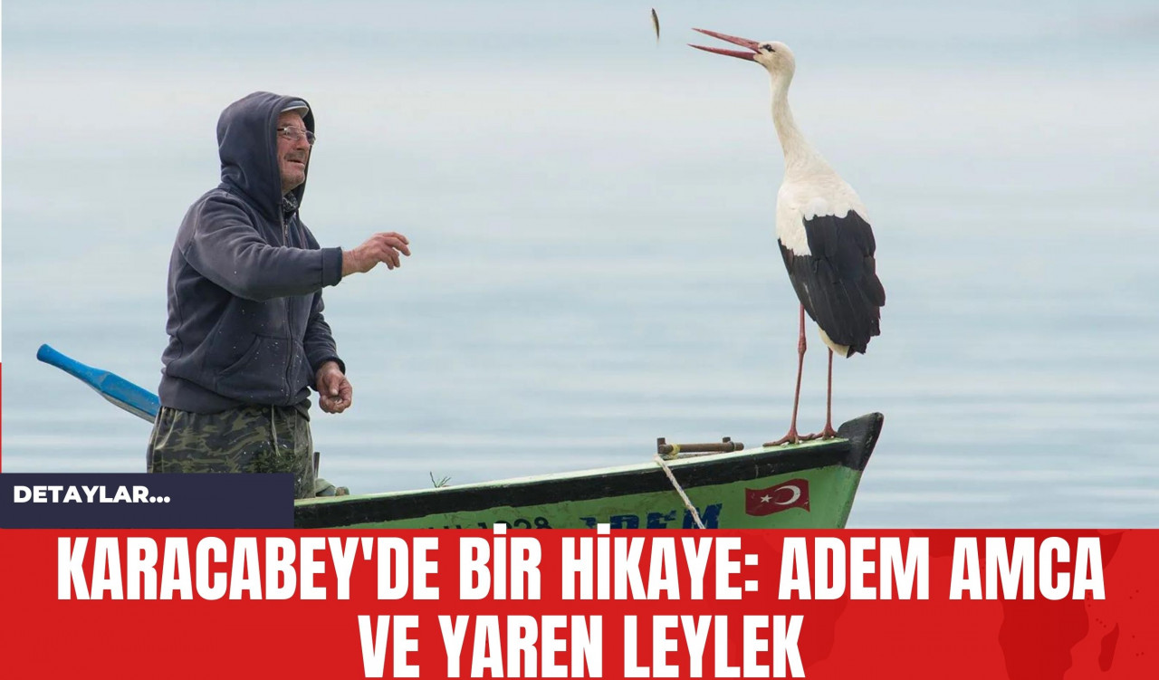 Karacabey'de Bir Hikaye: Adem Amca ve Yaren Leylek