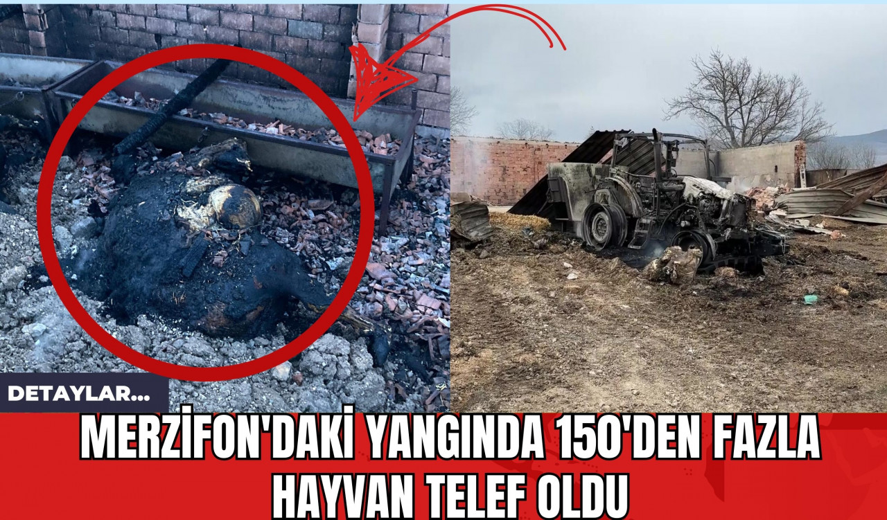 Merzifon'daki Yangında 150'den Fazla Hayvan Telef Oldu