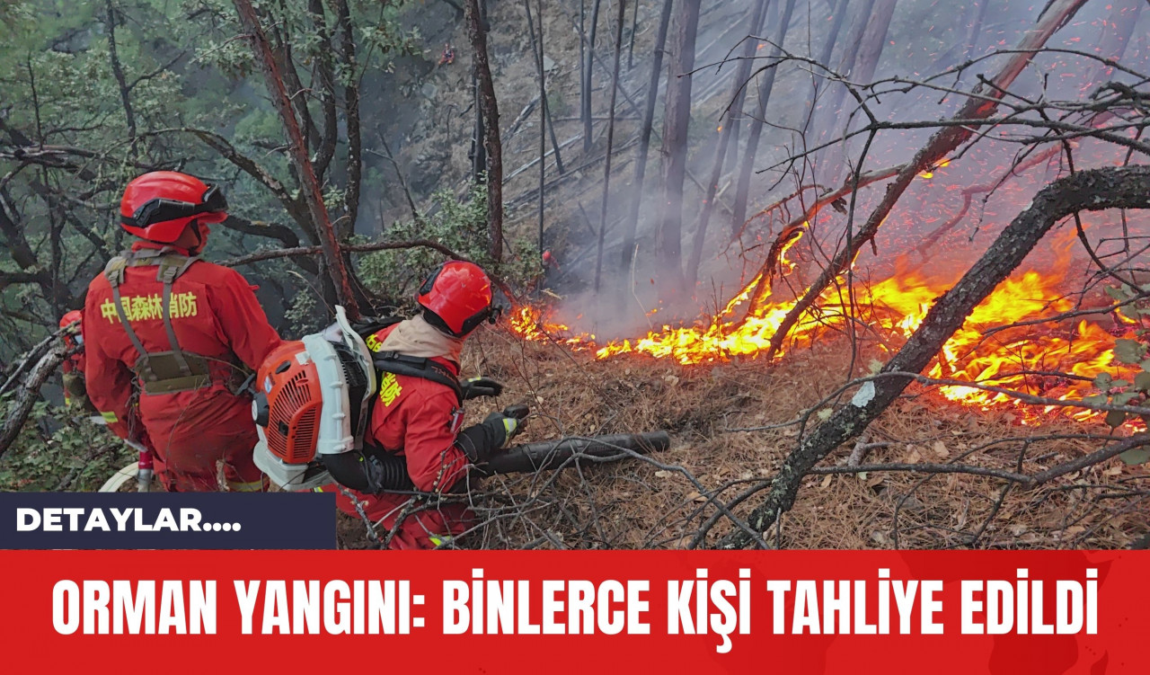 Orman Yangını: Binlerce Kişi Tahliye Edildi