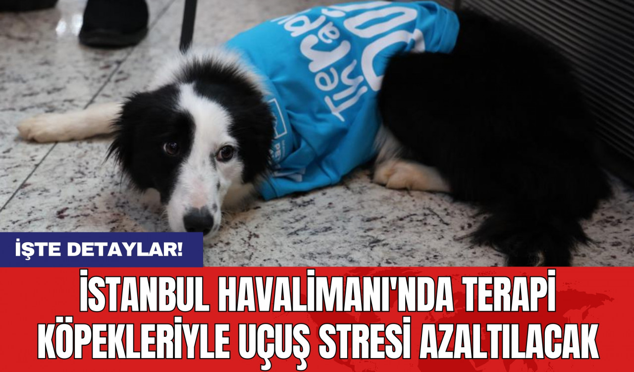 İstanbul Havalimanı'nda Terapi Köpekleriyle Uçuş Stresi Azaltılacak