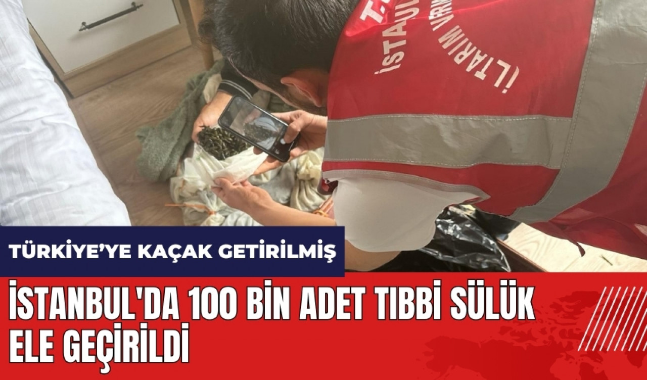 İstanbul'da 100 bin adet tıbbi sülük ele geçirildi