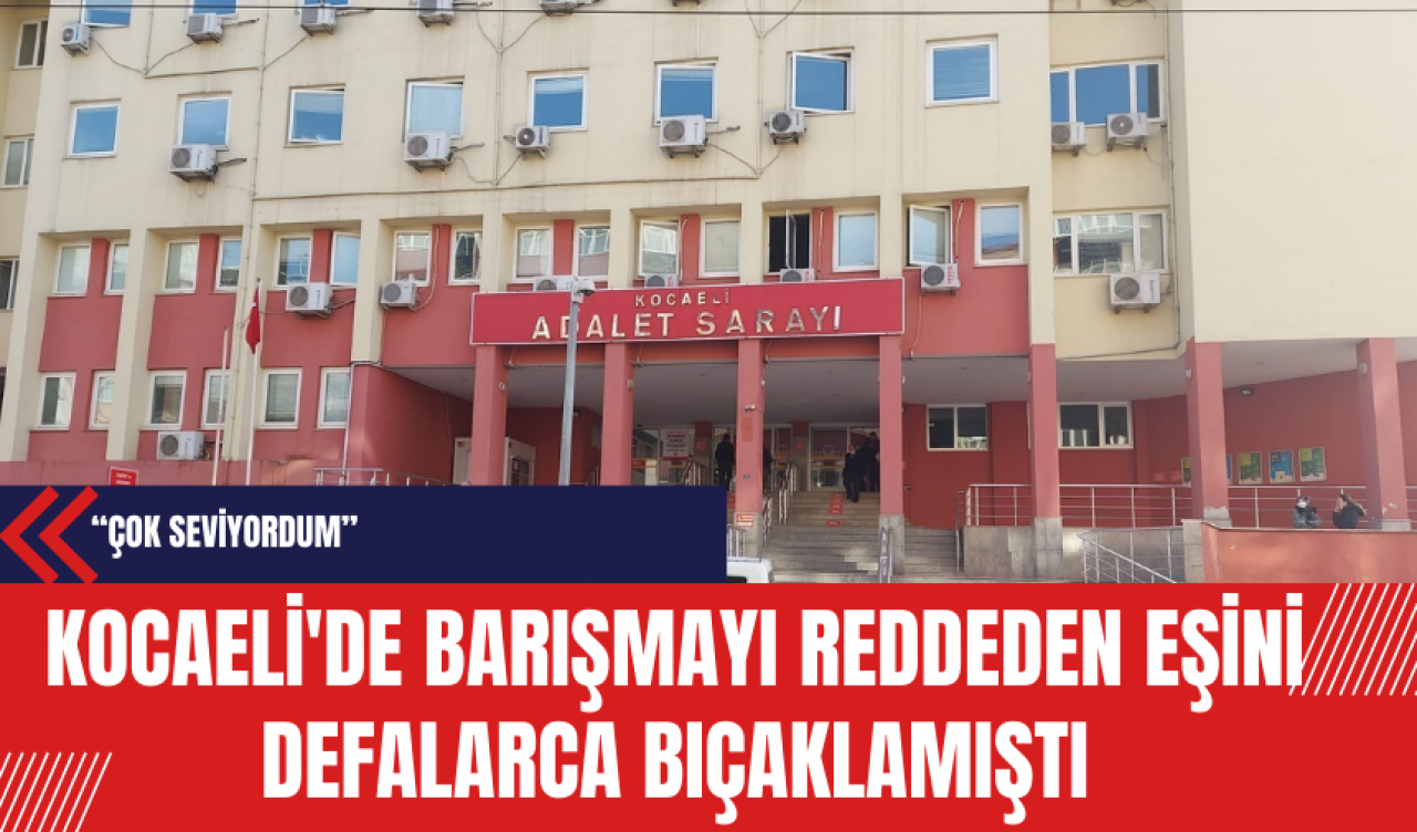 Kocaeli'de Barışmayı Reddeden Eşini Defalarca Bıçaklamıştı: 'Çok Seviyordum'