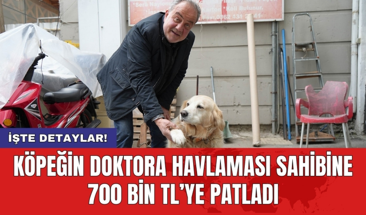 Köpeğin doktora havlaması sahibine 700 bin TL’ye patladı