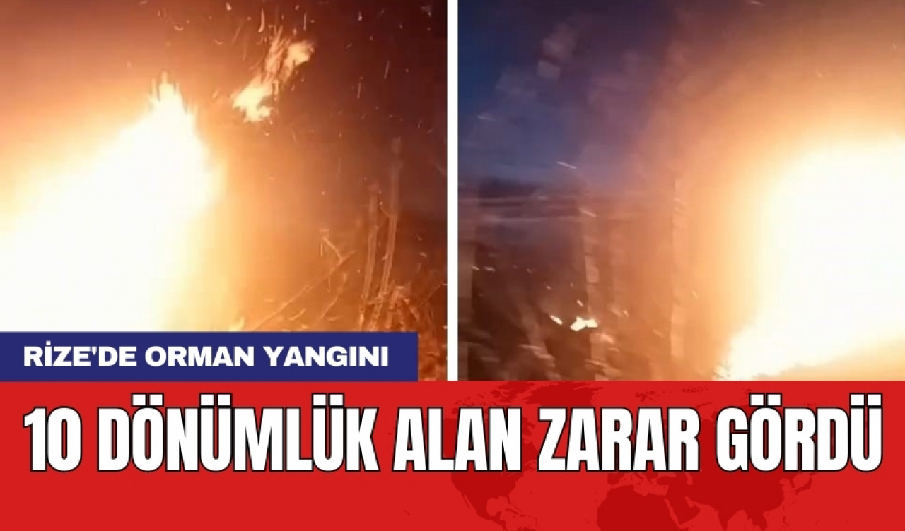 Rize'de orman yangını: 10 dönümlük alan zarar gördü