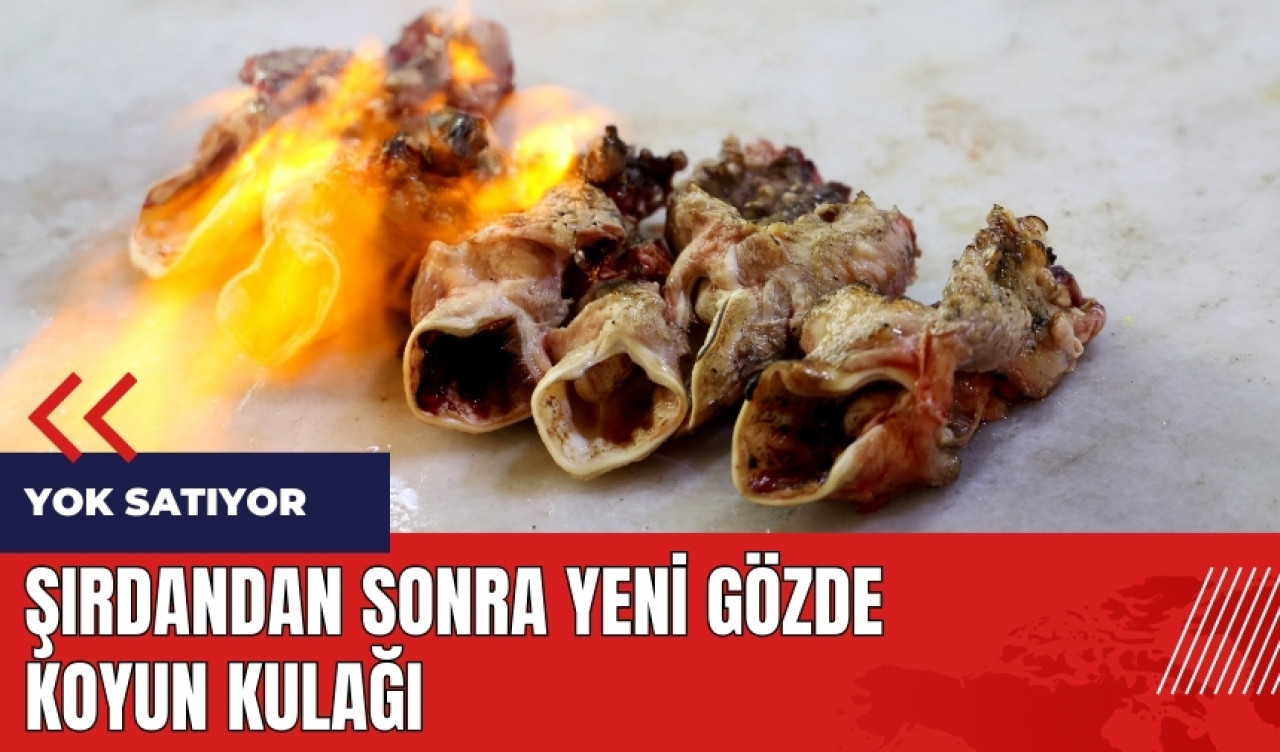 Şırdandan sonra yeni gözde koyun kulağı