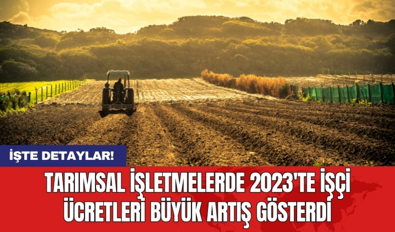 Tarımsal işletmelerde 2023'te işçi ücretleri büyük artış gösterdi