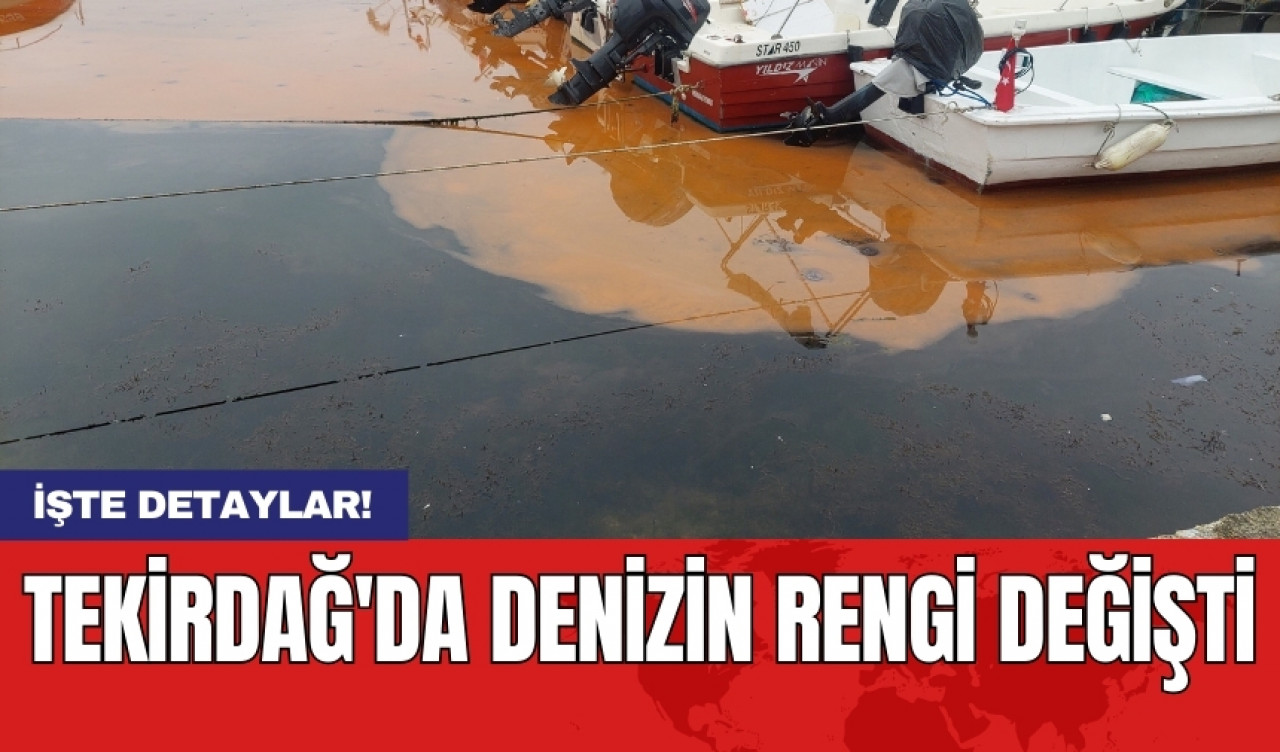 Tekirdağ'da denizin rengi değişti