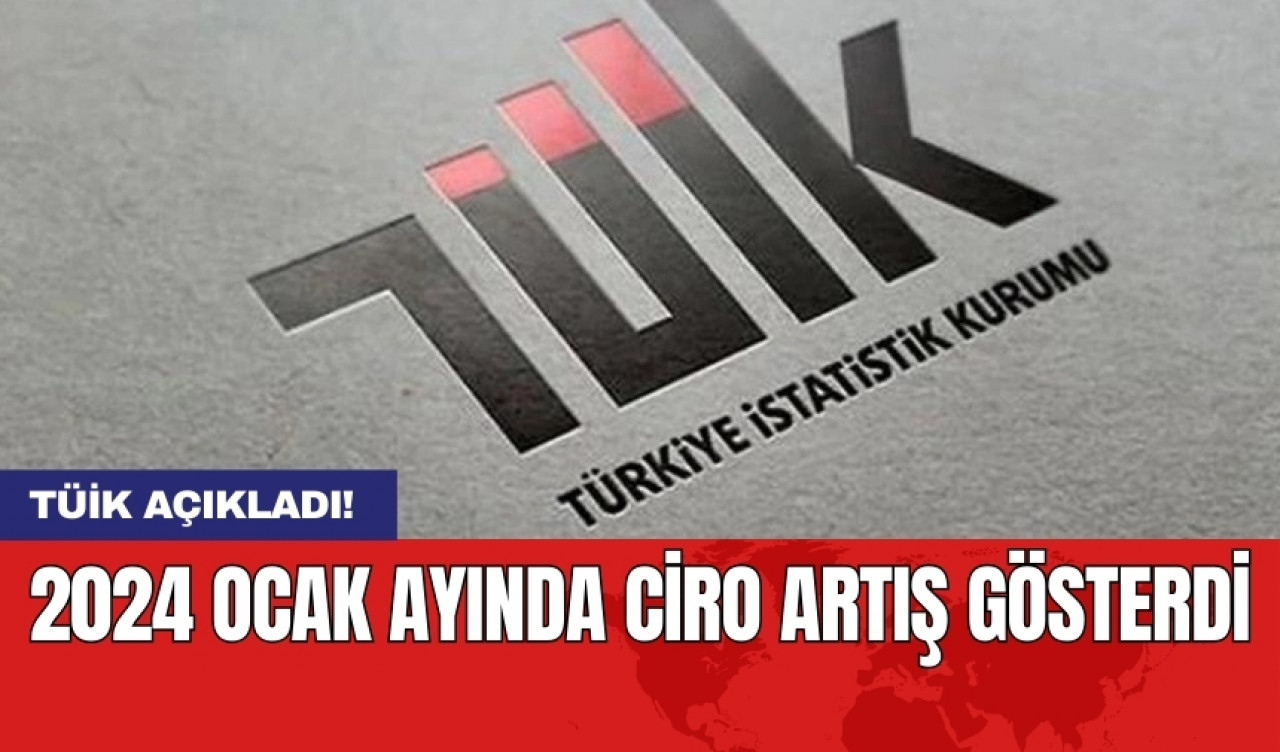 TÜİK açıkladı! 2024 Ocak ayında ciro artış gösterdi