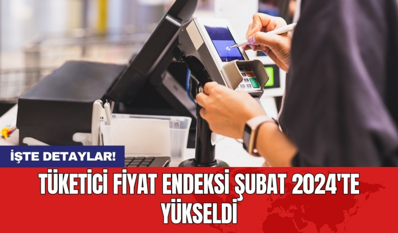 Tüketici Fiyat Endeksi Şubat 2024'te yükseldi