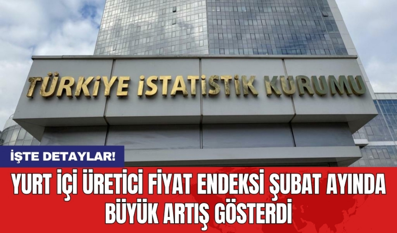 Yurt İçi Üretici Fiyat Endeksi Şubat ayında büyük artış gösterdi