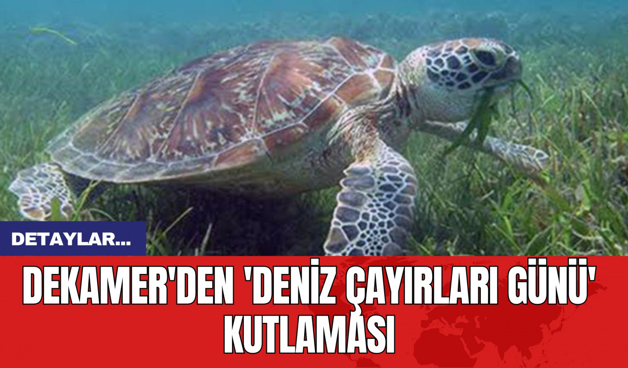 DEKAMER'den 'Deniz Çayırları Günü' Kutlaması