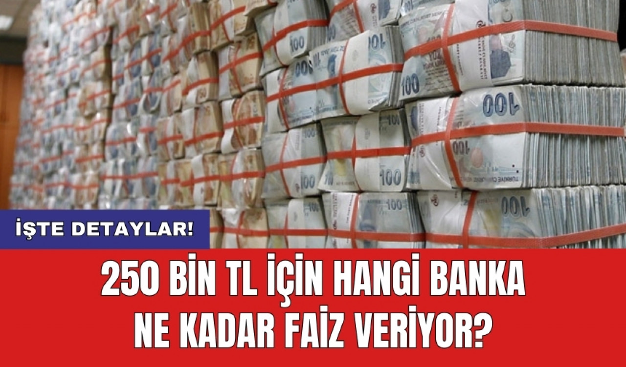 250 Bin TL İçin Hangi Banka Ne Kadar Faiz Veriyor?