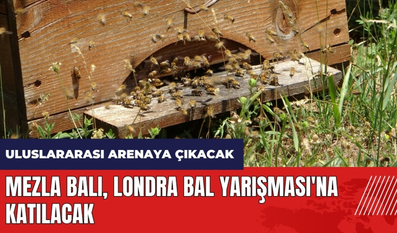 Adana Mezla Balı Londra Bal Yarışması'na katılacak