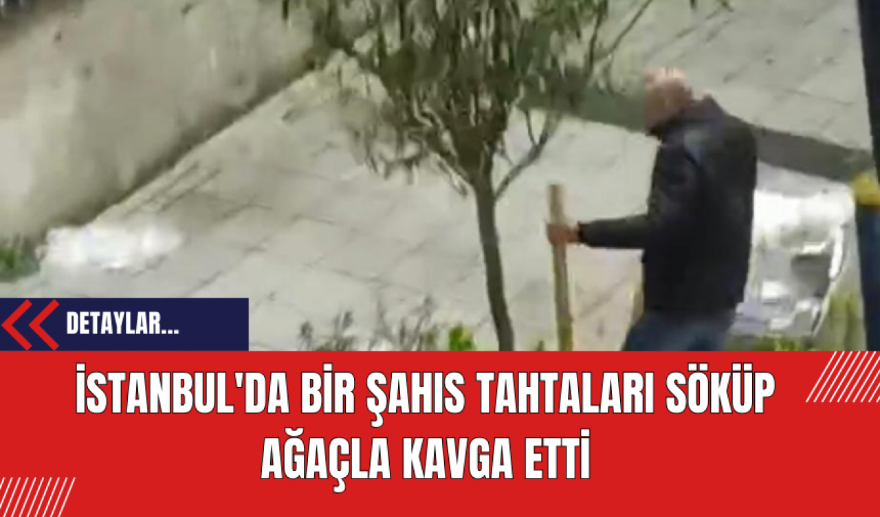 İstanbul'da Bir Şahıs Tahtaları Söküp Ağaçla Kavga Etti