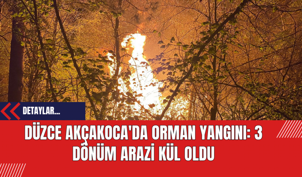 Düzce Akçakoca'da Orman Yangını: 3 Dönüm Arazi Kül Oldu