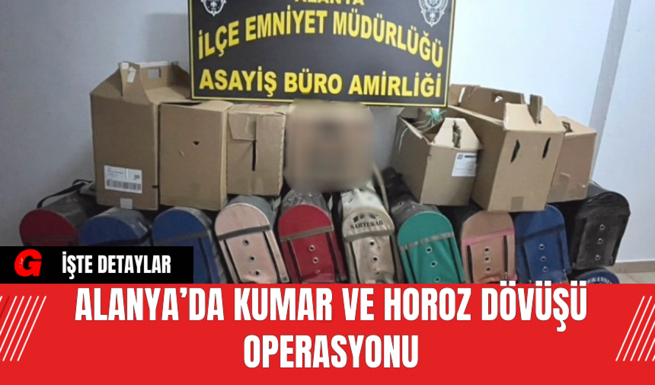 Alanya’da Kumar ve Horoz Dövüşü Operasyonu