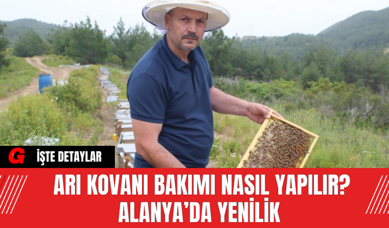 Arı Kovanı Bakımı Nasıl Yapılır? Alanya’da Yenilik