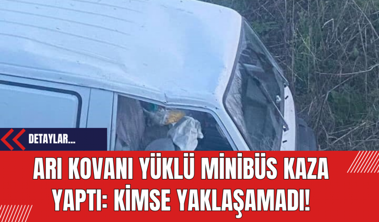 Arı Kovanı Yüklü Minibüs Kaza Yaptı: Kimse Yaklaşamadı!