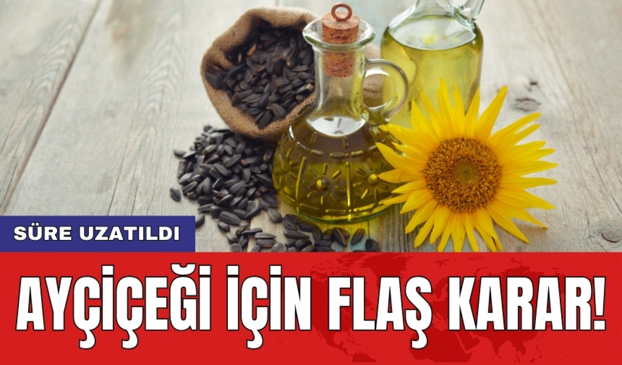 Ayçiçeği için flaş karar! Süre uzatıldı