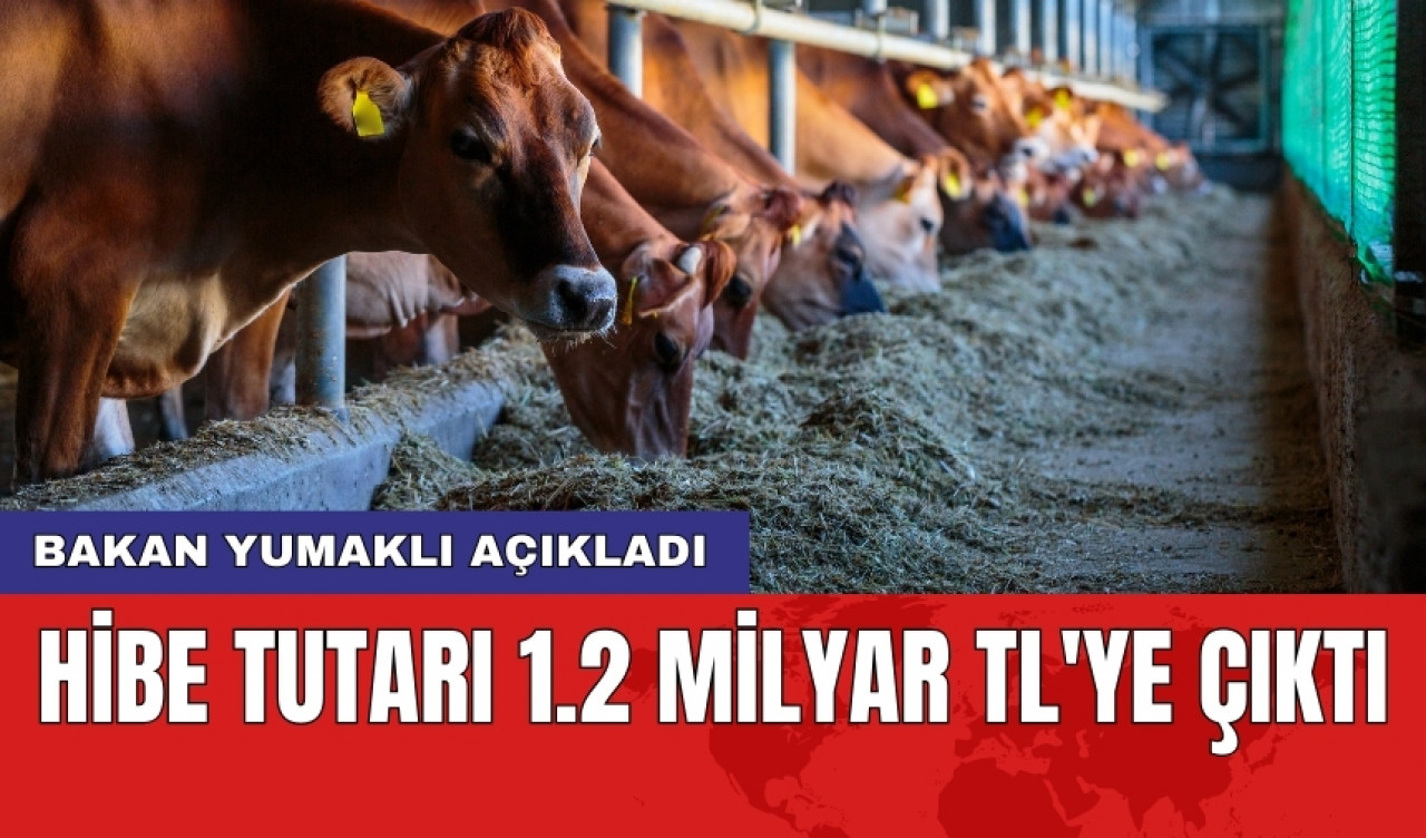 Bakan Yumaklı açıkladı: Hibe tutarı 1.2 milyar TL'ye çıktı