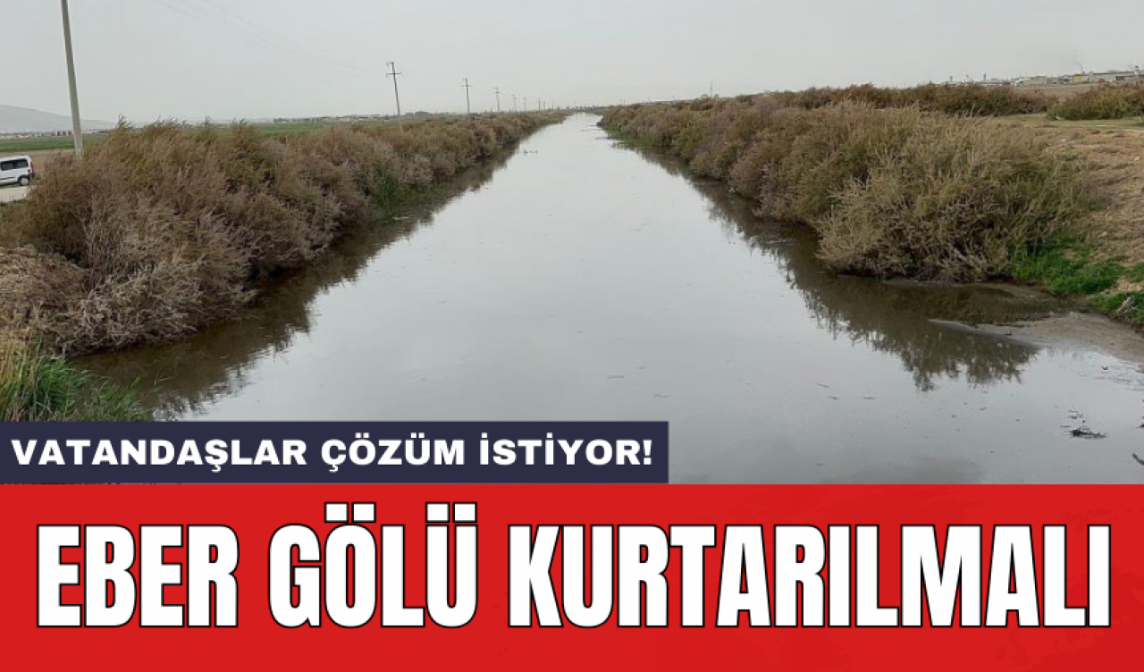 Eber Gölü kurtarılmalı: Vatandaşlar çözüm istiyor!