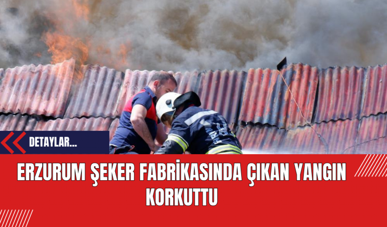 Erzurum Şeker Fabrikasında Çıkan Yangın Korkuttu