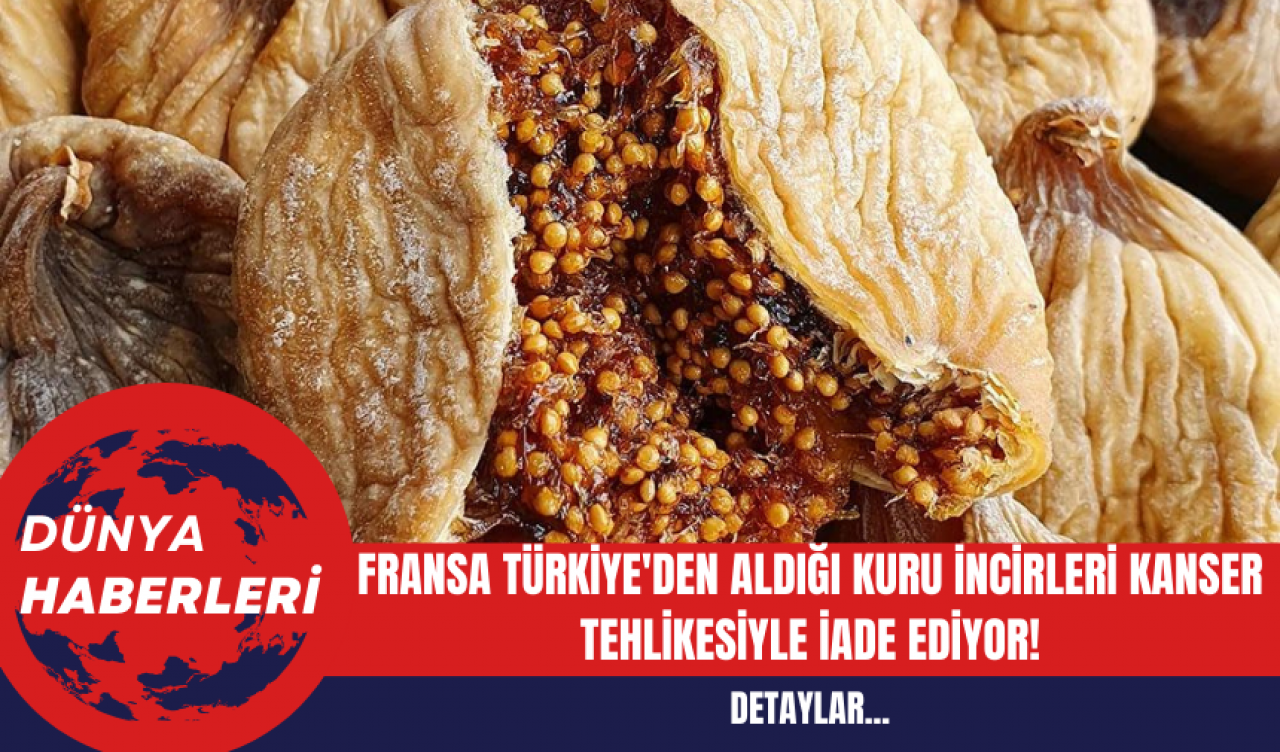 Fransa Türkiye'den Aldığı Kuru İncirleri Kanser Tehlikesiyle İade Ediyor!