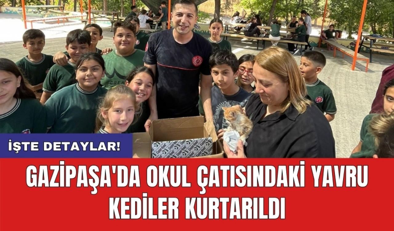 Gazipaşa'da Okul Çatısındaki Yavru Kediler Kurtarıldı