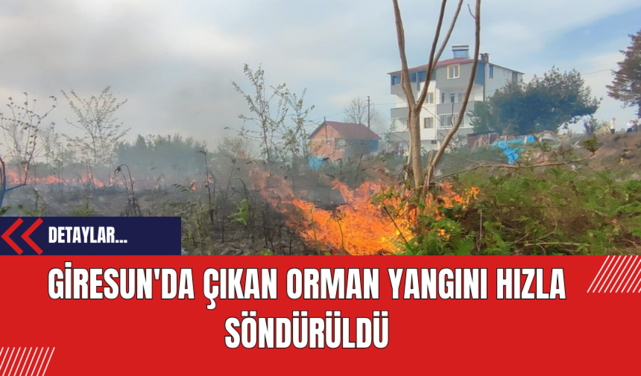 Giresun'da Çıkan Orman Yangını Hızla Söndürüldü