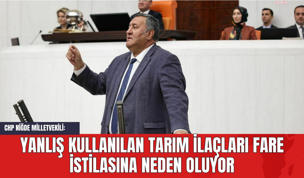 CHP Niğde Milletvekili: Yanlış Kullanılan Tarım İlaçları Fare İstilasına Neden Oluyor