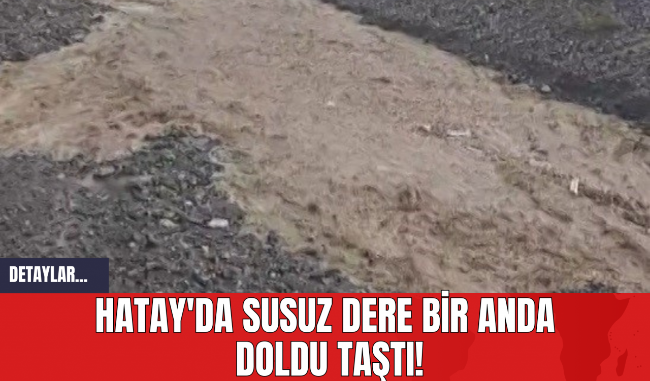 Hatay'da Susuz Dere Bir Anda Doldu Taştı!