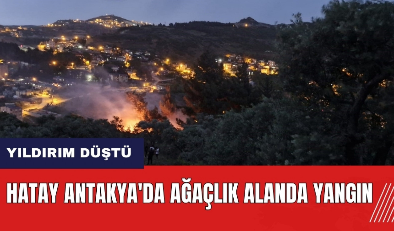 Hatay Antakya'da yıldırım düşen ağaçlık alanda yangın