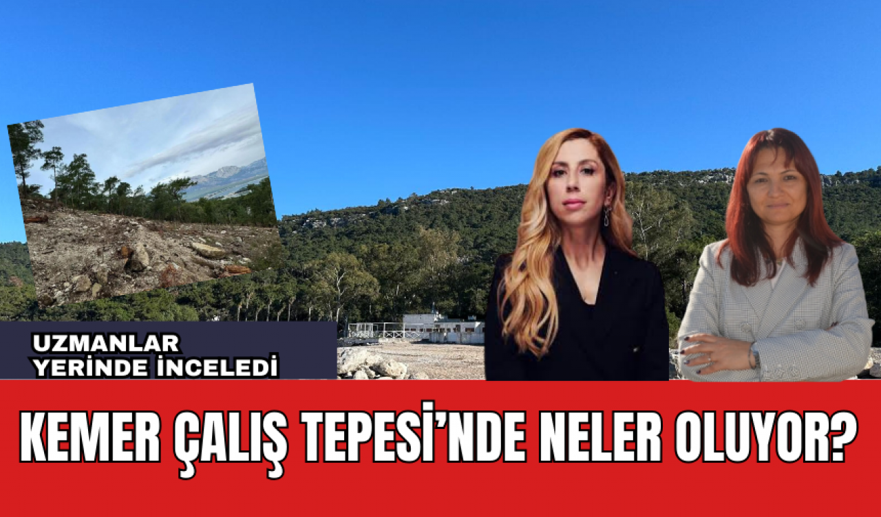 Uzmanlardan Yerinde İnceleme! Çalış Tepesi’nde Son Durum Ne?