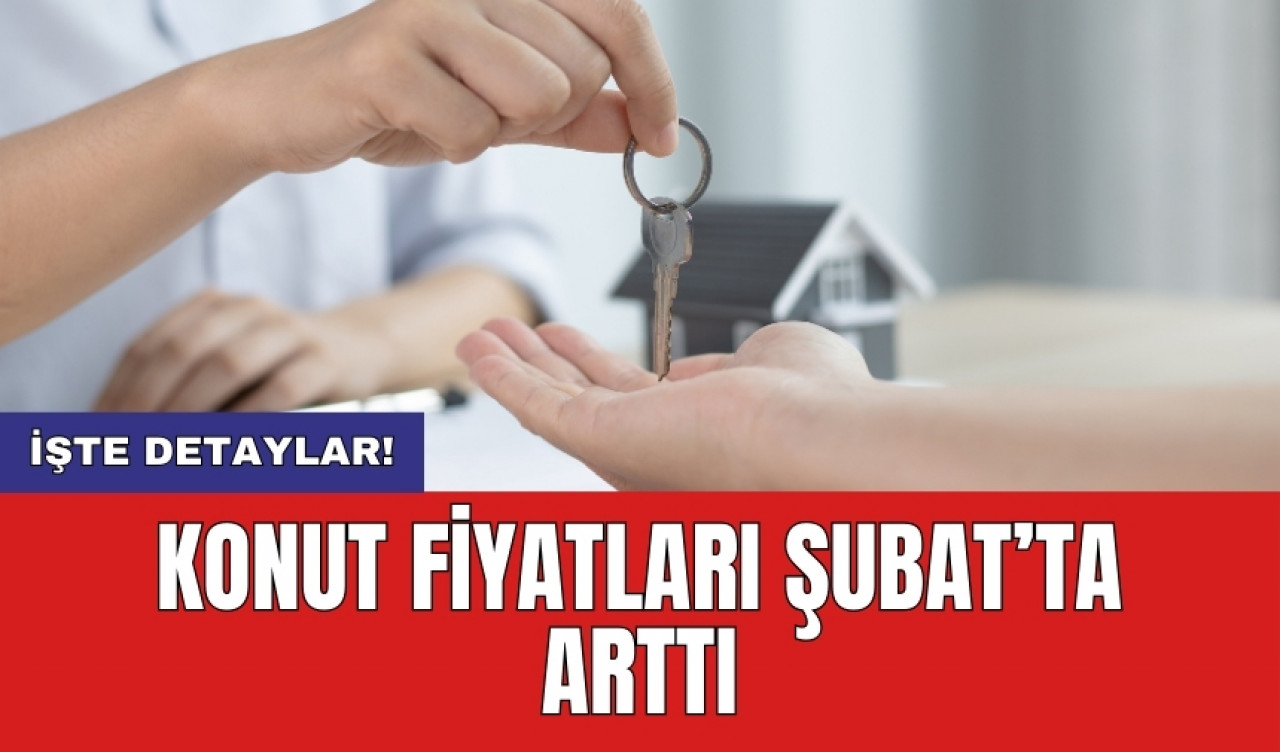 Konut fiyatları Şubat’ta arttı