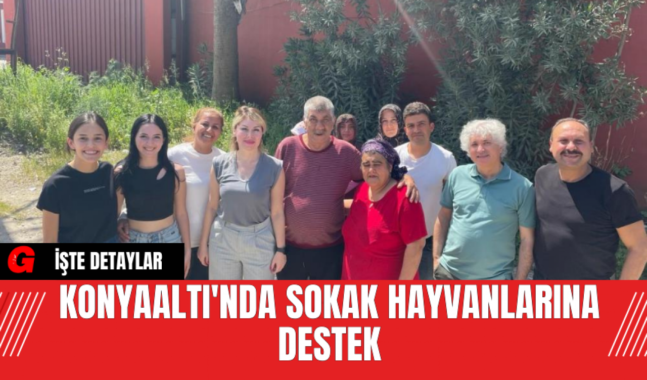 Konyaaltı'nda Sokak Hayvanlarına Destek