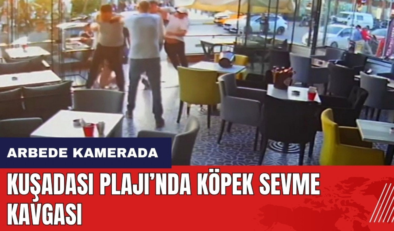 Kuşadası Plajı'nda köpek sevme kavgası!