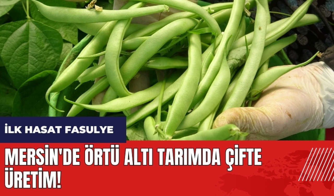 Mersin'de örtü altı tarımda çifte üretim! İlk hasat fasulyede