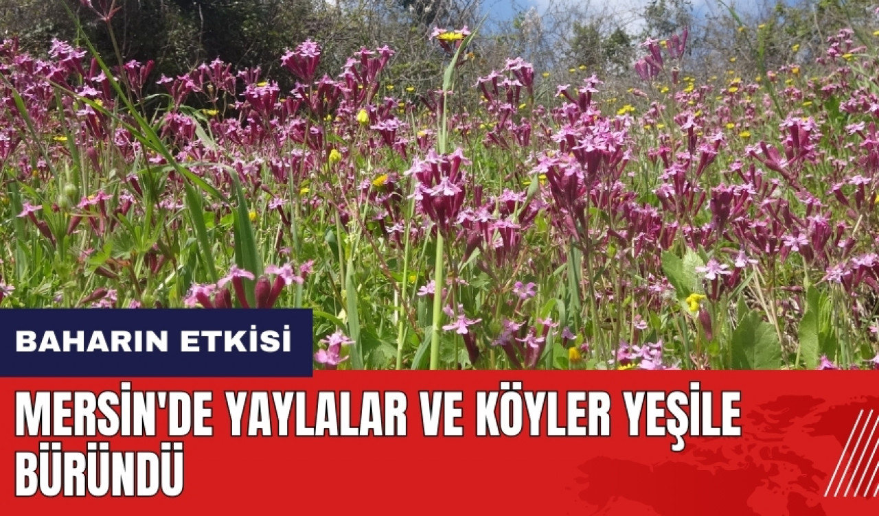 Mersin'de yaylalar ve köyler yeşile büründü