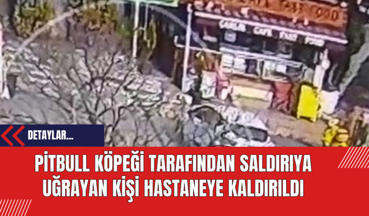 Pitbull Köpeği Tarafından Saldırıya Uğrayan Kişi Hastaneye Kaldırıldı