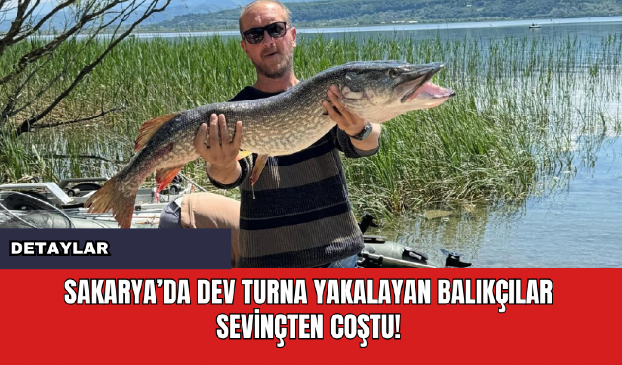 Sakarya’Da Dev Turna Yakalayan Balıkçılar Sevinçten Coştu!