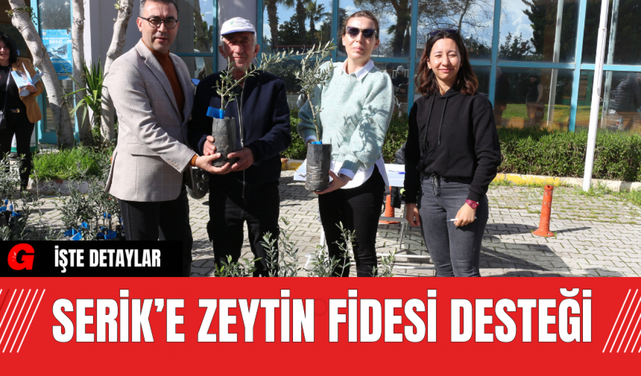 Serik’e zeytin fidesi desteği