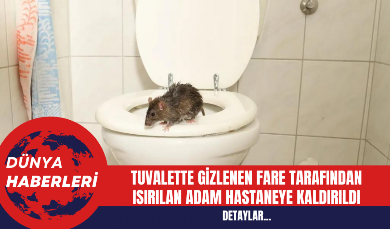 Tuvalette Gizlenen Fare Tarafından Isırılan Adam Hastaneye Kaldırıldı