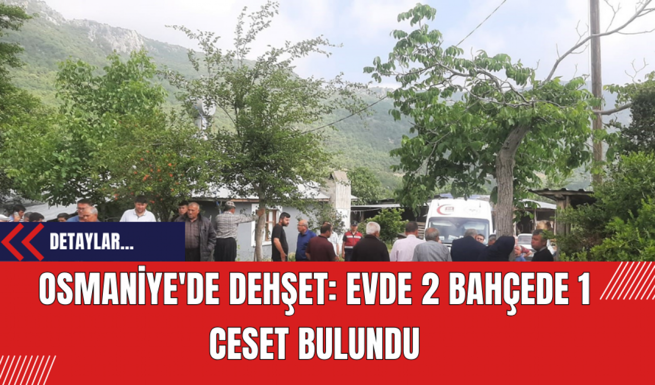 Osmaniye'de Dehşet: Evde 2 Bahçede 1 Cansız Beden Bulundu