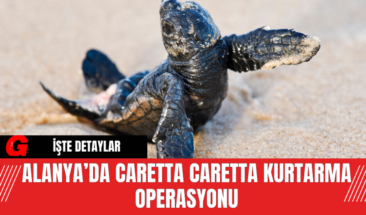 Alanya’da Caretta Caretta Kurtarma Operasyonu