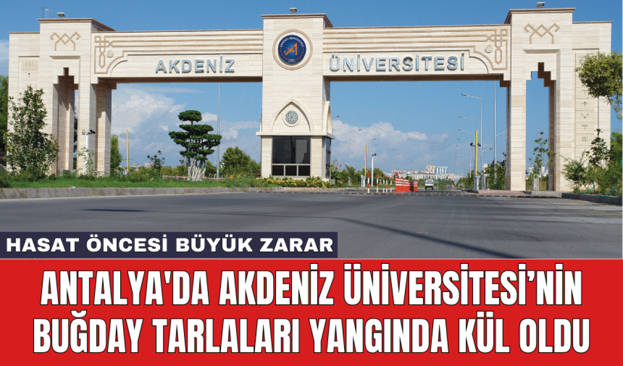 Antalya'da Akdeniz Üniversitesi’nin buğday tarlaları yangında kül oldu